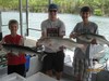 (06/22/2015) - Nice Striped Bass